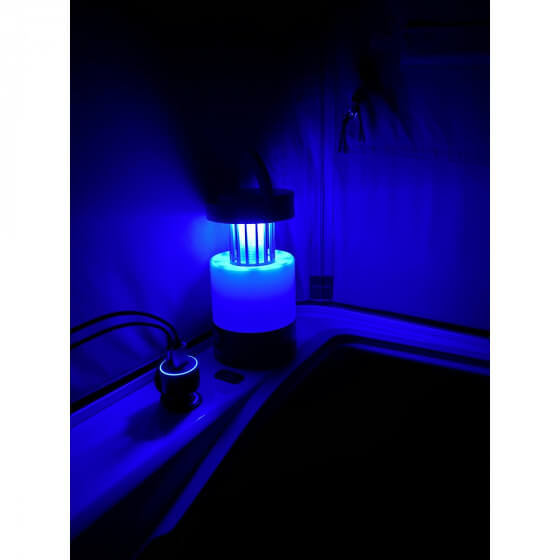 Lanterne anti-moustique